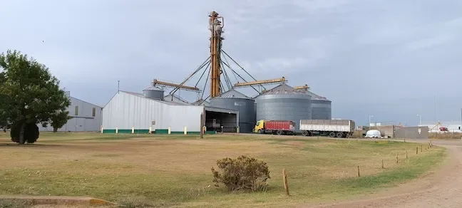 Riesgo de asfixia por granos