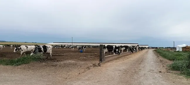 Riesgos climáticos y exposición al sol